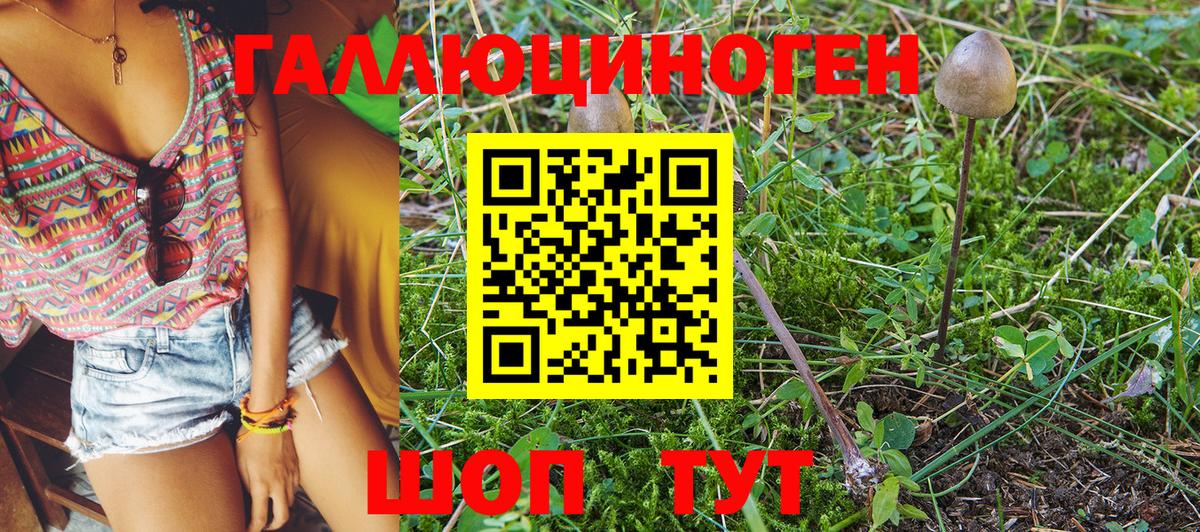 Псилоцибиновые грибы Magic Shrooms Елабуга