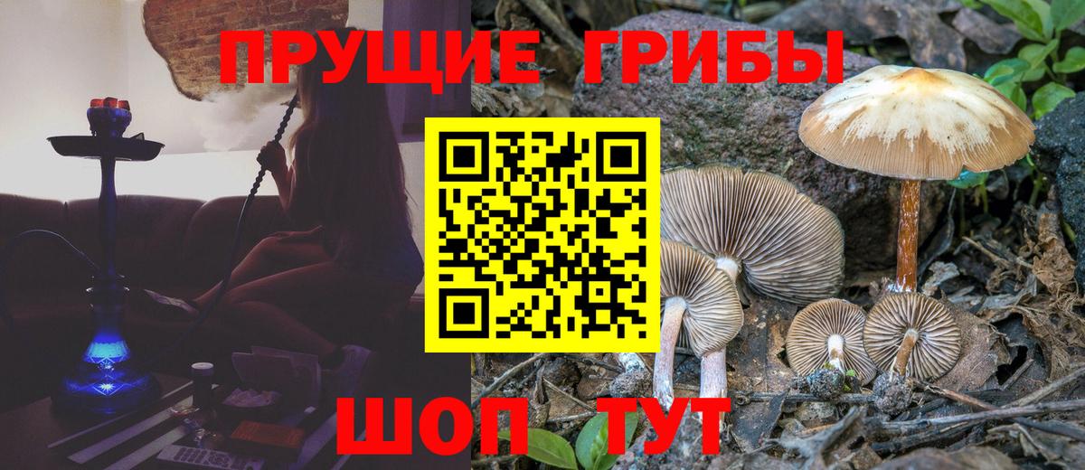 Галлюциногенные грибы MAGIC MUSHROOMS  Вход с VPN  Елабуга 